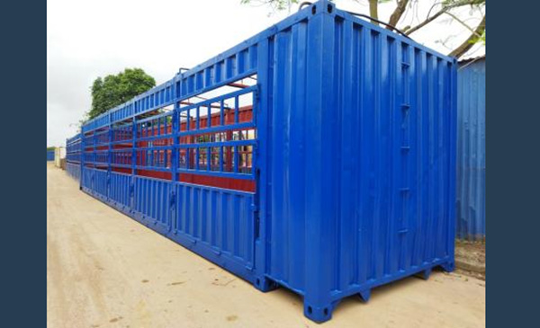 Container chuyên dụng dùng để chở gia súc