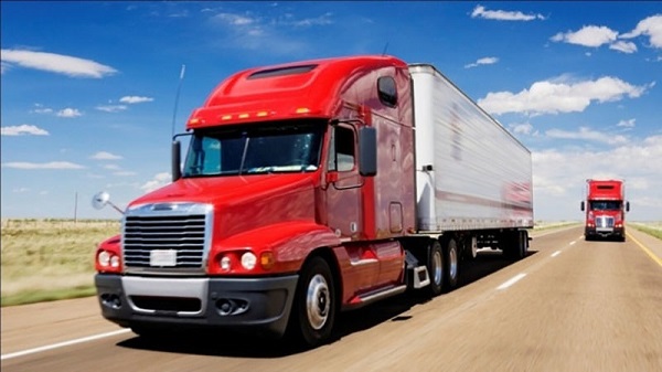 cont 20 bao nhiêu khối