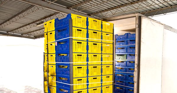 Container 20 feet được sử dụng để lưu trữ nông sản trong điều kiện kín